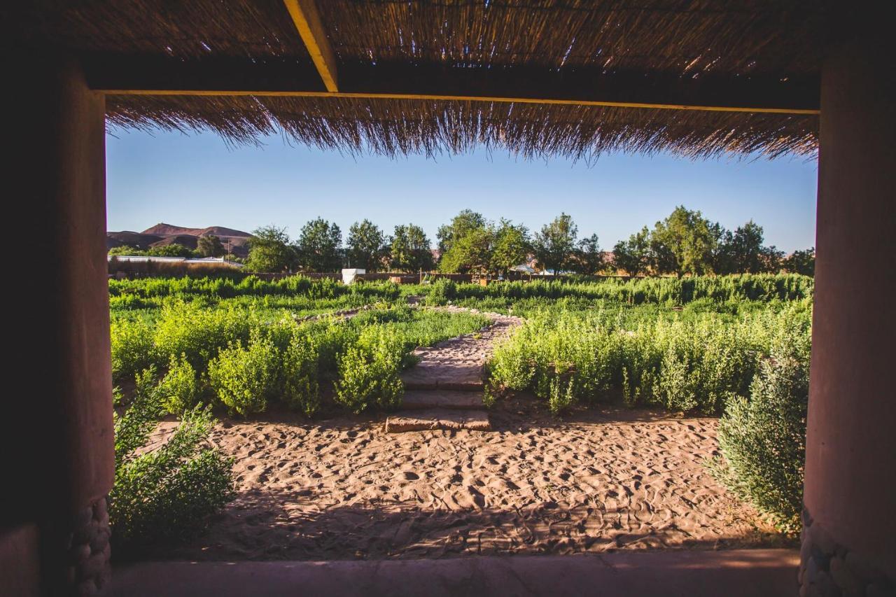 Eco-Lodge El Andinista San Pedro de Atacama Exterior foto